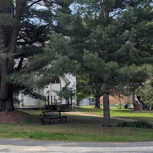 Small white church with a bench in front, surrounded by trees and greenery.