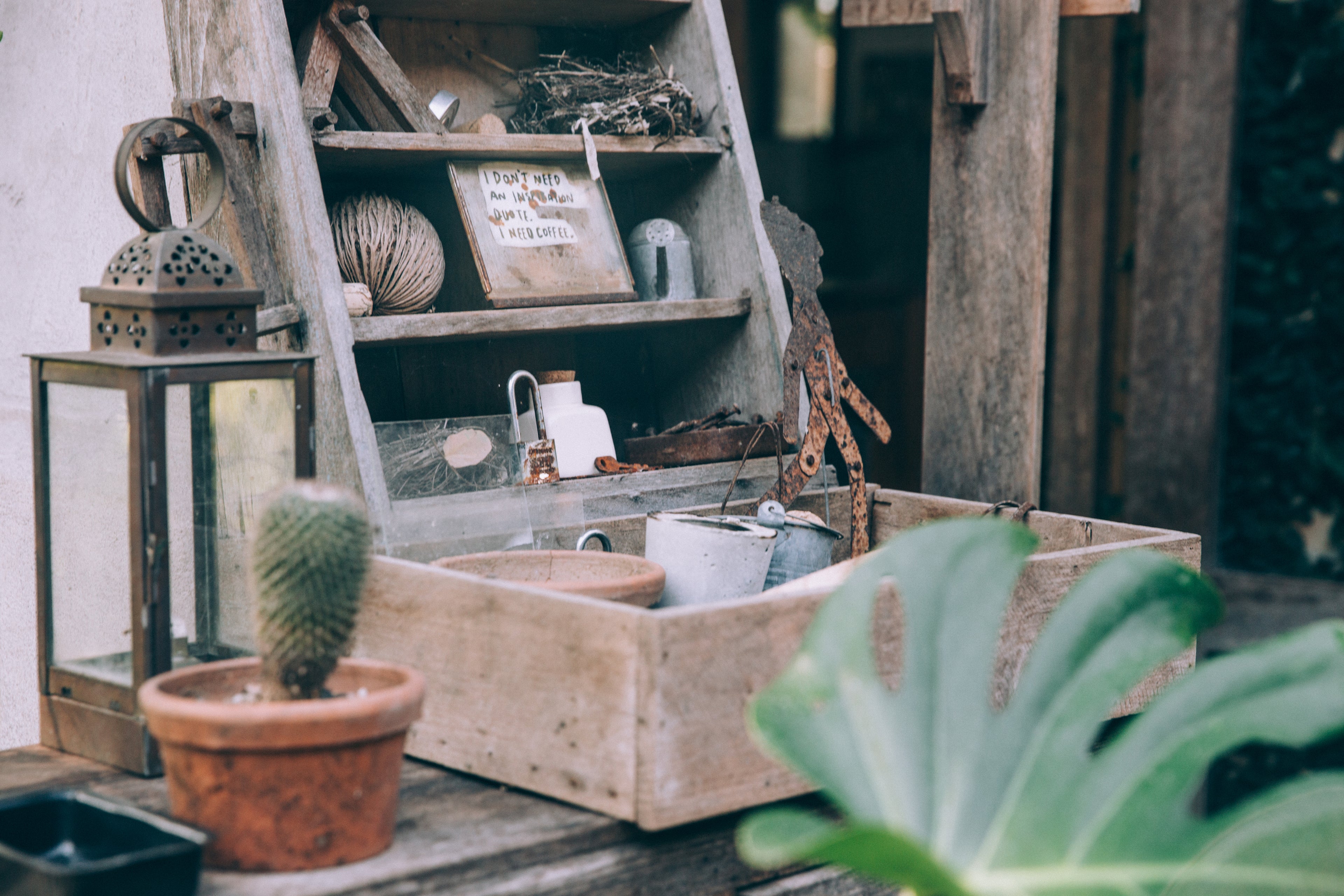 A box made of salvaged wood filled with old items and a bird's nest